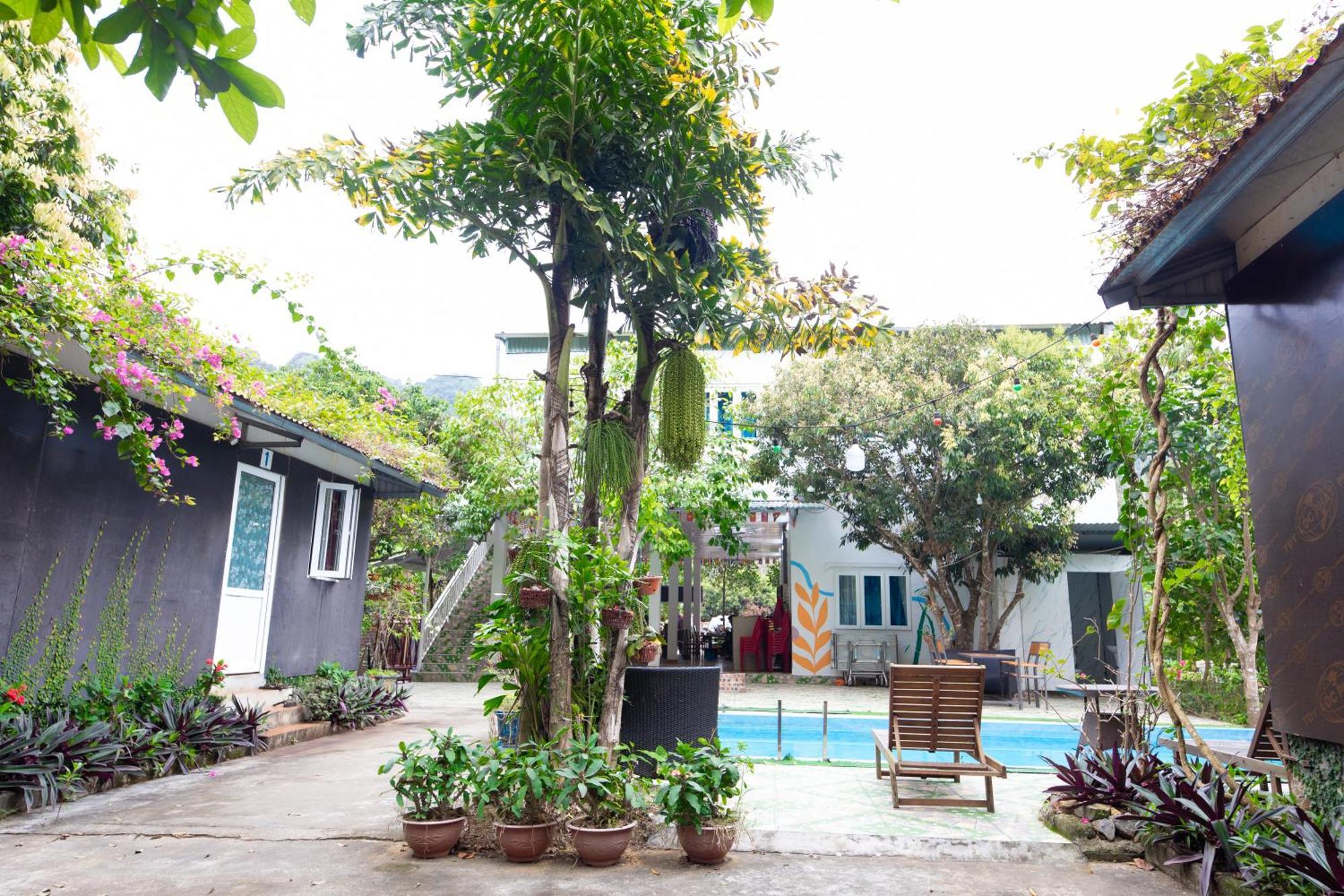 Cat Ba Countryside Homestay Dong Khe Sau Exterior photo