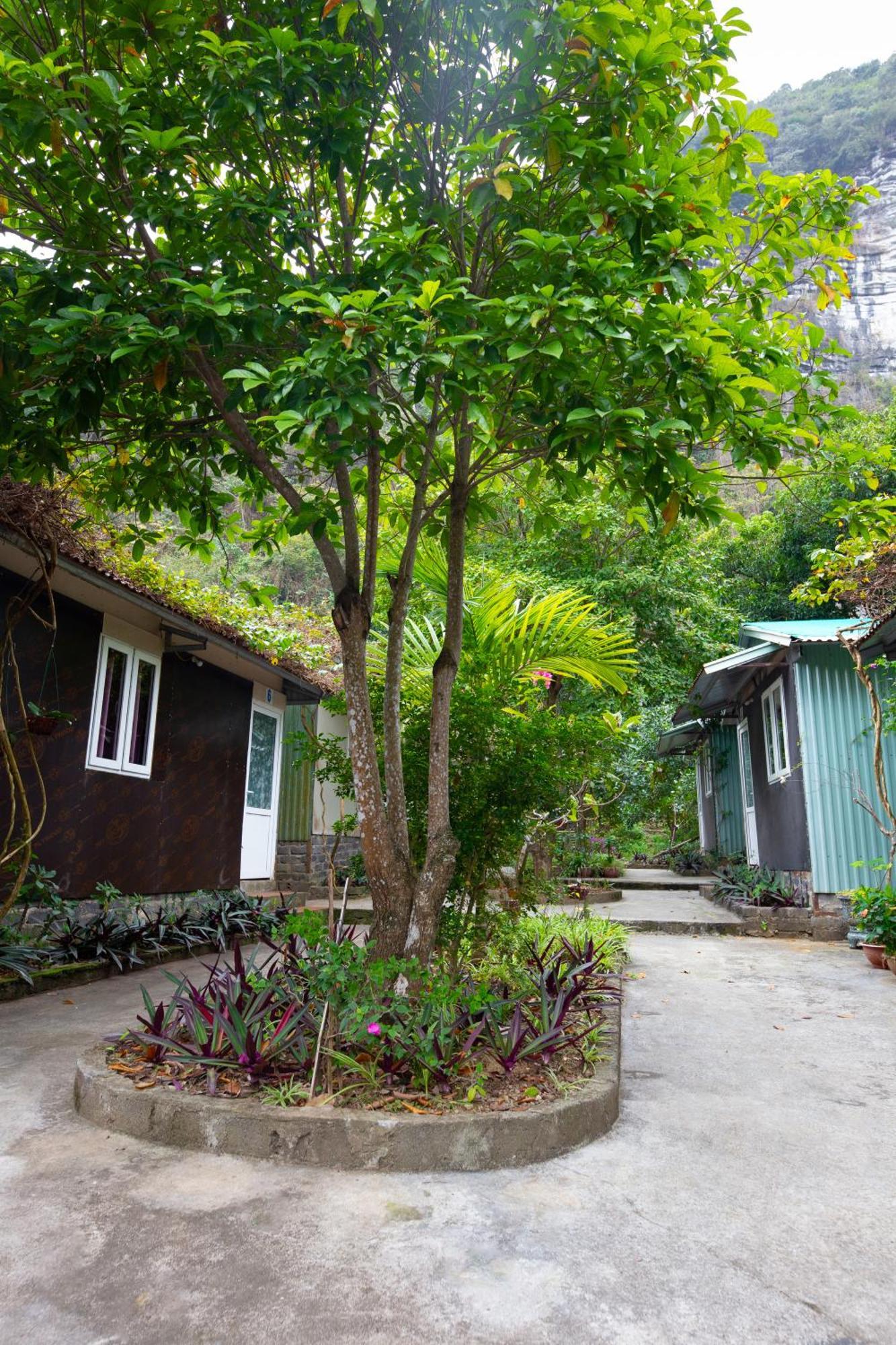 Cat Ba Countryside Homestay Dong Khe Sau Exterior photo